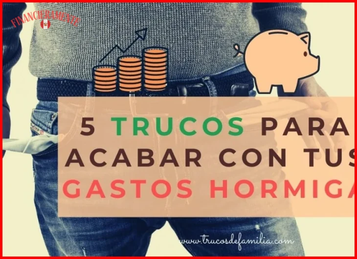 Cómo reducir o eliminar los gastos hormiga - Hey Banco