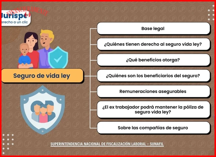 Cuándo y por qué contratar un seguro de vida según tu etapa de vida
