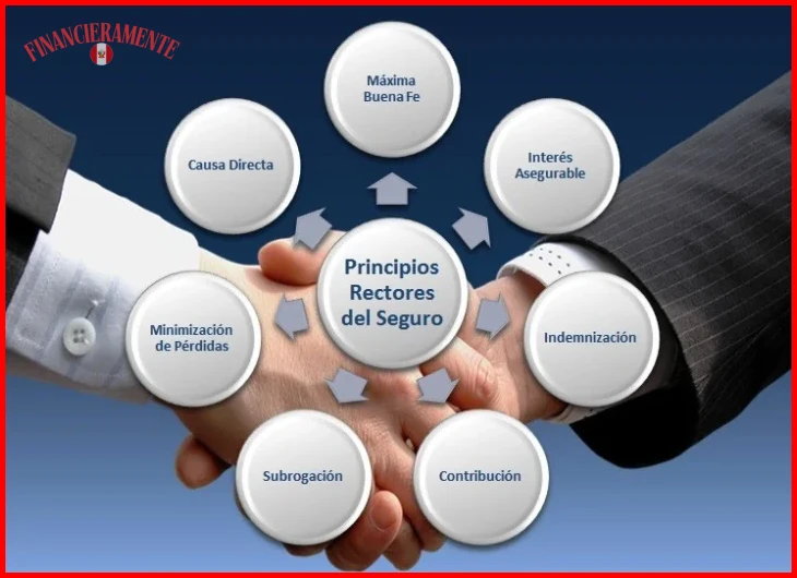 Guía de seguros básicos que todo principiante necesita 3 Definición de póliza, prima, deducible y cobertura