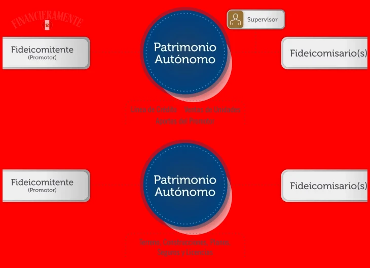 Documentación necesaria y designación de fiduciario en el proceso de creación