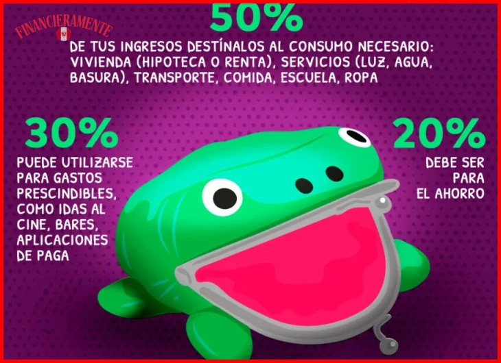 Estrategias para destinar el 20% restante al ahorro y pago de deudas