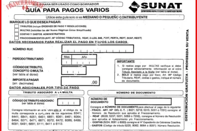 guia de impuestos para trabajadores independientes 8b88b5