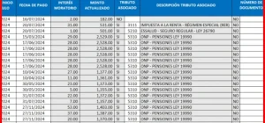 guia de reestructuracion de deudas personales 694472