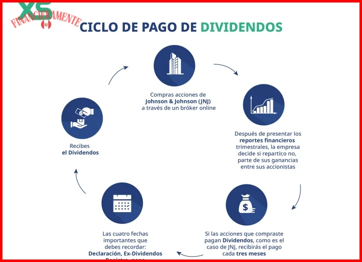 Qué son los dividendos y cómo generarlos 6 Paso 1 — Identificar empresas que reparten dividendos de forma consistente